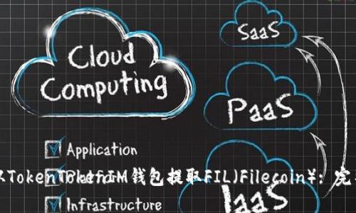 如何从TokenTokenIM钱包提取FIL（Filecoin）: 完整指南
