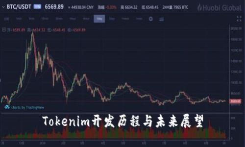 Tokenim开发历程与未来展望