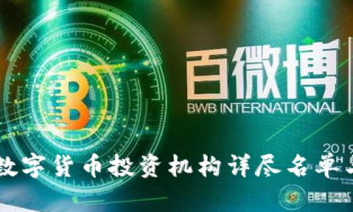 中国数字货币投资机构详尽名单与分析