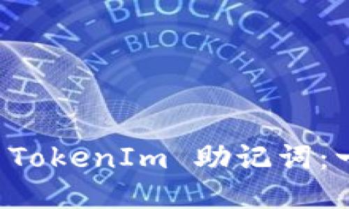 如何安全导出 TokenIm 助记词：一步一步的指南
