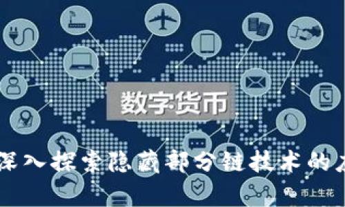 Tokenim：深入探索隐藏部分链技术的应用与前景