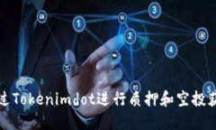 如何通过Tokenimdot进行质押
