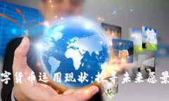 上海数字货币运用现状：