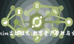 全面解析Tokenim高级模式：