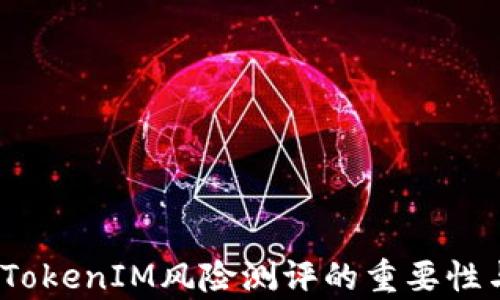 
深入分析：TokenIM风险测评的重要性与实践指南