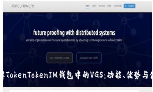 深入了解TokenTokenIM钱包中的VGS：功能、优势与使用指南