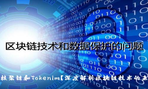 什么是核聚链和Tokenim？深度解析区块链技术的未来趋势