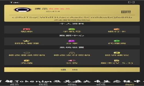 深入了解Tokenim及其在火币生态链中的应用