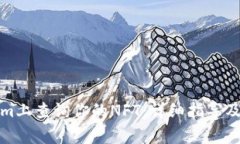 如何在Tokenim上查询你的