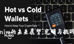 Tokenim的未来展望：光明与