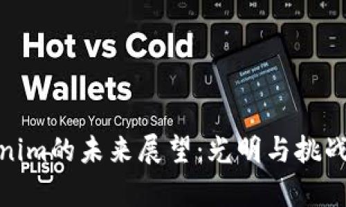 Tokenim的未来展望：光明与挑战并存