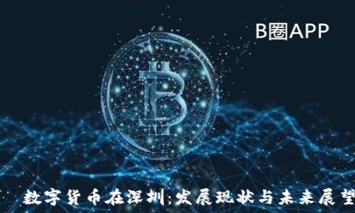   
  数字货币在深圳：发展现状与未来展望