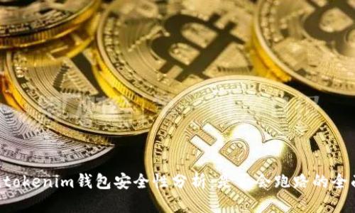 Tokentokenim钱包安全性分析：是否会跑路的全面评估
