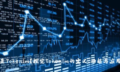 什么是Tokenim？探究Tokenim的定义、功能与应用前景