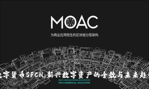 数字货币SFCH：新兴数字资产的全貌与未来趋势