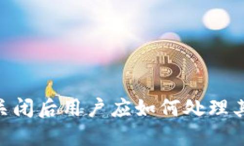  Tokenim关闭后用户应如何处理其代币资产？