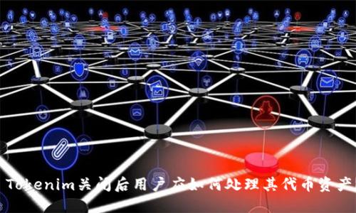  Tokenim关闭后用户应如何处理其代币资产？