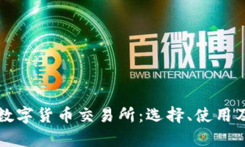 全面解析数字货币交易所：选择、使用及风险防范