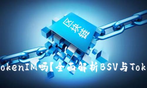 BSV可以存储TokenIM吗？全面解析BSV与TokenIM的兼容性