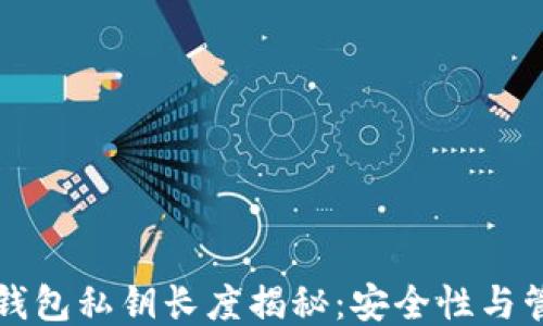 
以太坊钱包私钥长度揭秘：安全性与管理技巧