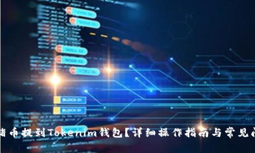 如何将猪币提到Tokenim钱包？详细操作指南与常见问题解答