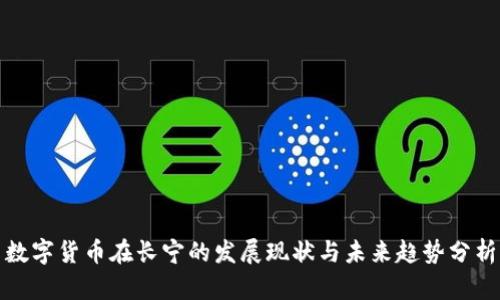 数字货币在长宁的发展现状与未来趋势分析