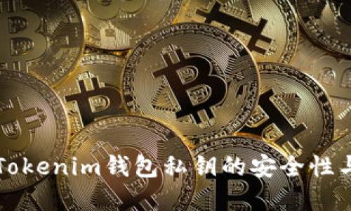 深入了解Tokenim钱包私钥的安全性与管理技巧