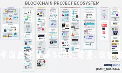 全面解析中国数字货币BCHC：前景、优势与投资策略