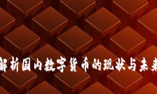 全面解析国内数字货币的现状与未来趋势