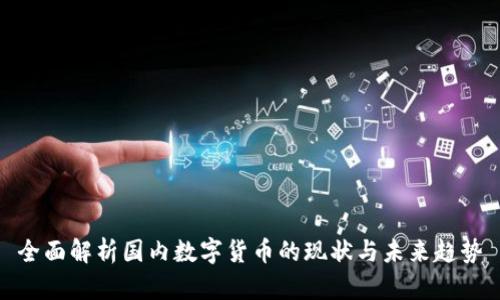 全面解析国内数字货币的现状与未来趋势