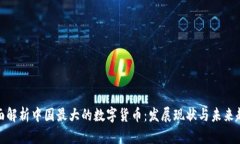 全面解析中国最大的数字