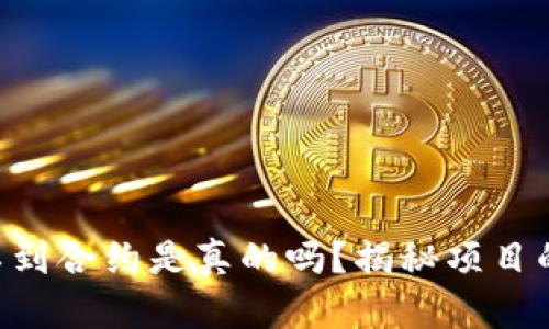 Tokenim找不到合约是真的吗？揭秘项目的真相与风险