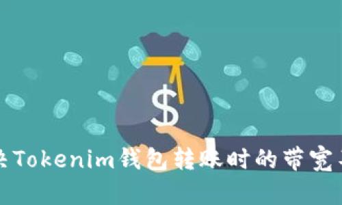 如何解决Tokenim钱包转账时的带宽不足问题