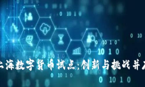 上海数字货币试点：创新与挑战并存