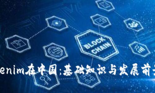 : Tokenim在中国：基础知识与发展前景解析