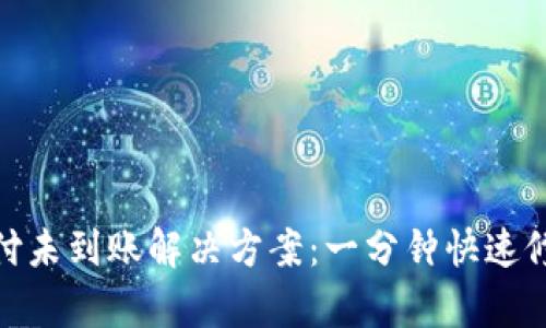 苹果Tokenim支付未到账解决方案：一分钟快速修复你的支付问题