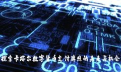 探索卡塔尔数字货币支付