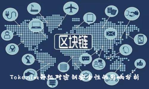 Tokenim升级对密钥安全性的影响分析