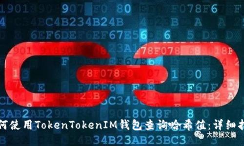 如何使用TokenTokenIM钱包查询哈希值：详细指南