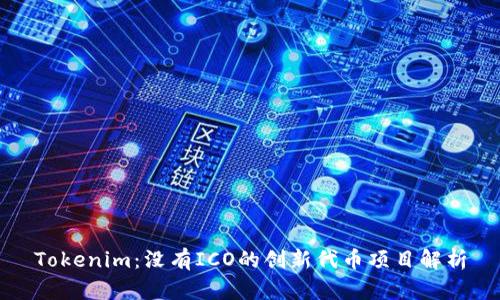 Tokenim：没有ICO的创新代币项目解析