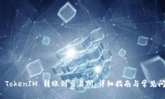 如何将 TokenIM 转账到交易所：详细指南与常见问
