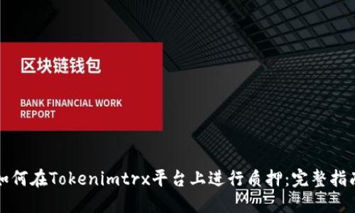 如何在Tokenimtrx平台上进行质押：完整指南