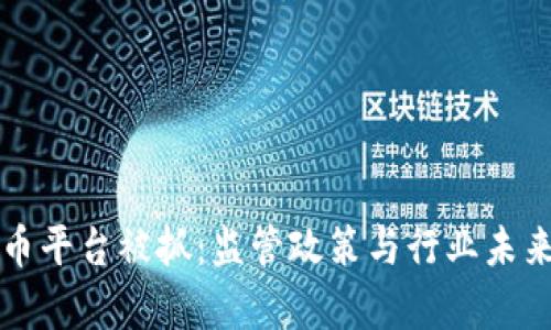上海数字货币平台被抓：监管政策与行业未来的深度解析