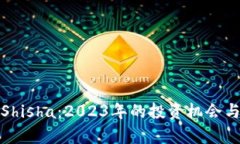数字货币Shisha：2023年的投资机会与市场分析