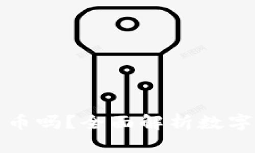 公司能投资数字货币吗？全面解析数字货币投资的利与弊