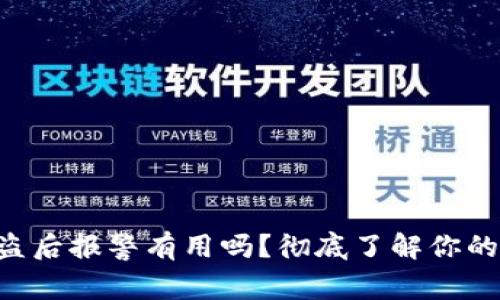 Tokenim钱包被盗后报警有用吗？彻底了解你的权益与安全措施