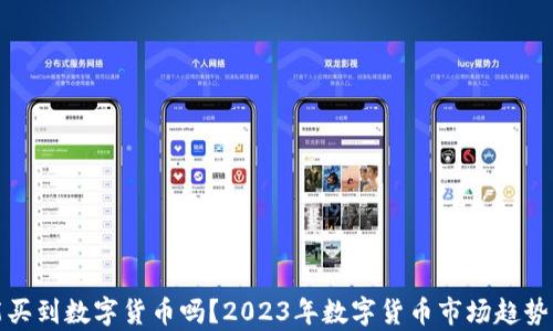 
还能买到数字货币吗？2023年数字货币市场趋势分析