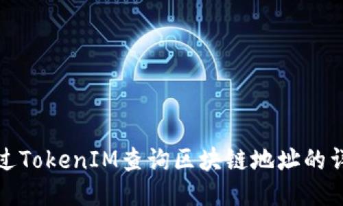如何通过TokenIM查询区块链地址的详细信息