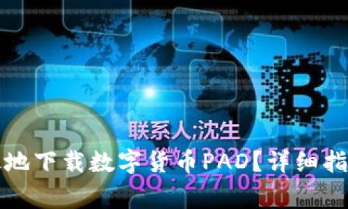 如何安全高效地下载数字货币PAD？详细指南与注意事项