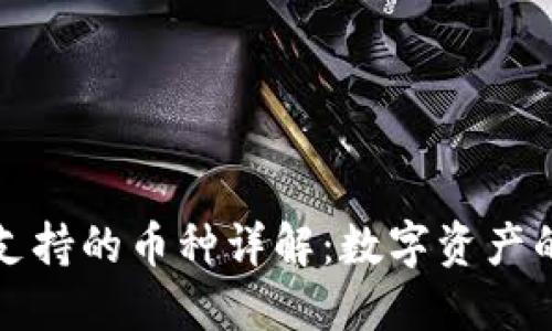 以太坊钱包支持的币种详解：数字资产的多样化选择